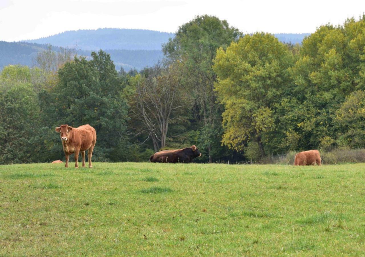 Ferienhaus Vulkaneifel Kopp Екстер'єр фото